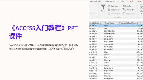 《ACCESS入门教程》课件