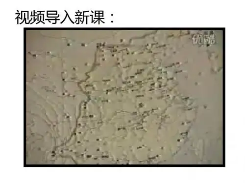 【初中历史】秦帝国的兴亡ppt12 北师大版