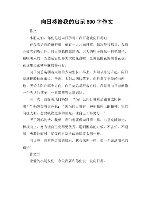 向日葵给我的启示600字作文