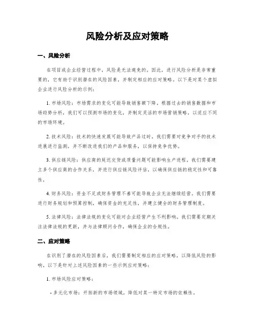 风险分析及应对策略