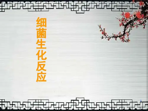 《细菌的生化反应》PPT课件