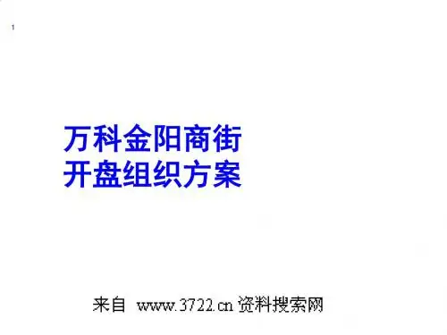 万科金阳商街开盘组织方案PPT课件( 16页)