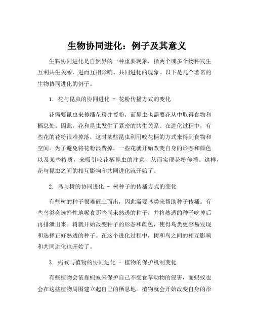 生物协同进化的例子