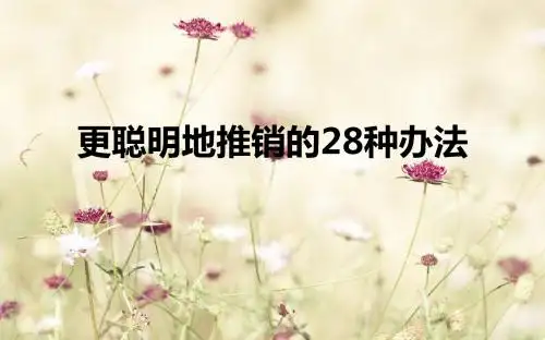 更聪明地推销的28种办法