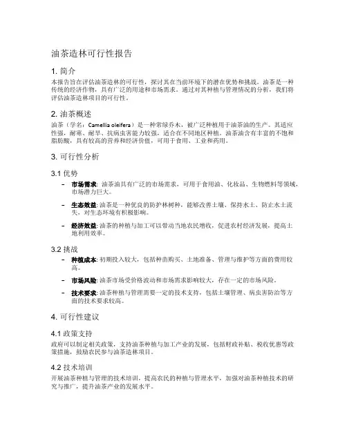 油茶造林可行性报告