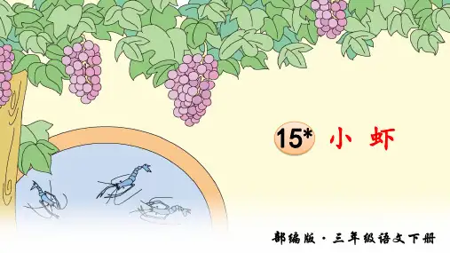 部编版小学语文三年级下册第15课《小虾》精品课件