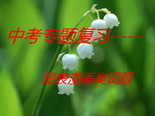 江苏省2015年中考语文专题复习：图表题漫画徽标(共28张PPT)