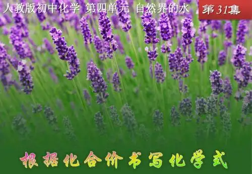 微课课件：根据化合价书写化学式