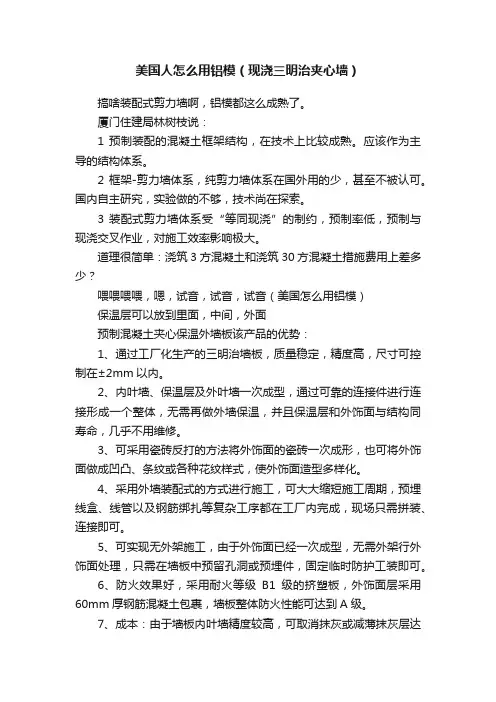 美国人怎么用铝模（现浇三明治夹心墙）