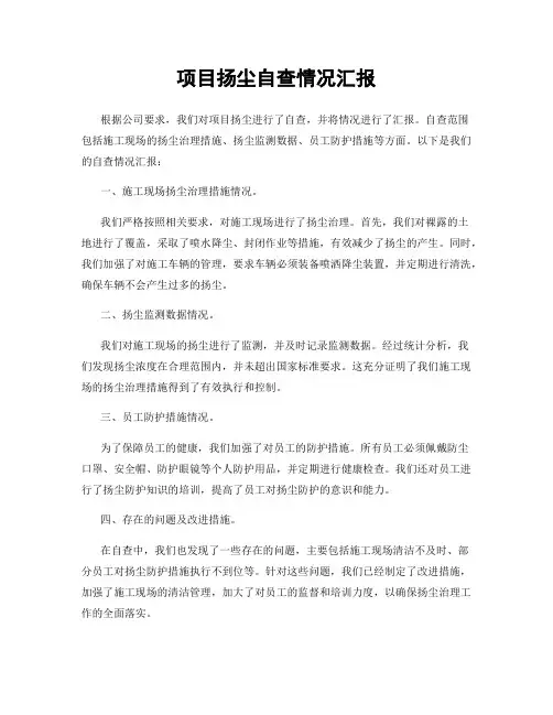 项目扬尘自查情况汇报