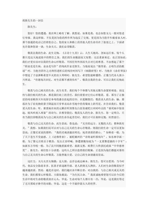 致陈先生的一封信