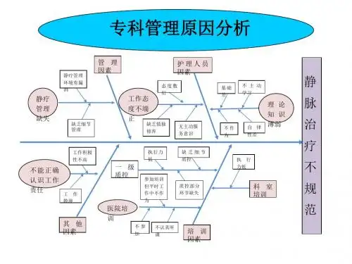 鱼骨图模板