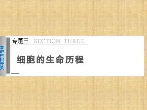 【步步高】(四川专用)高考生物二轮专题突破 专题三 第1讲细胞的增殖和受精作用名师优质课件 
