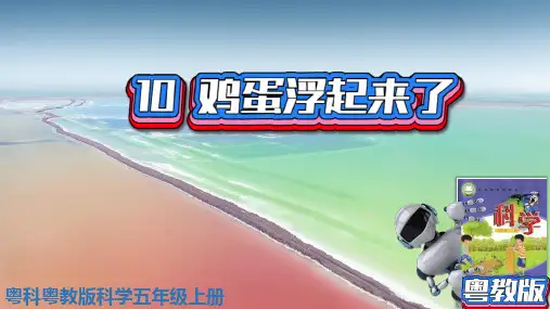 (2021)粤教版科学五年级上册10课鸡蛋浮起来了(第二单元物体的沉与浮)PPT课件