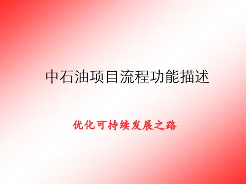 中石油项目流程图