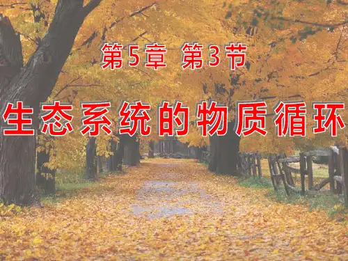 5.3生态系统的物质循环.ppt