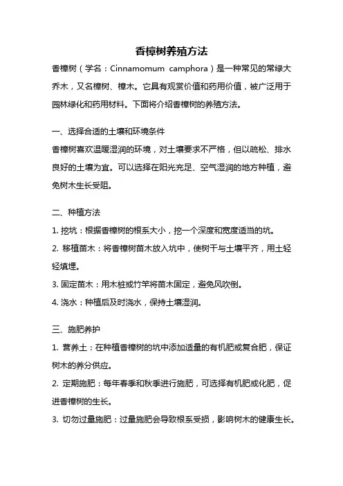 香樟树养殖方法