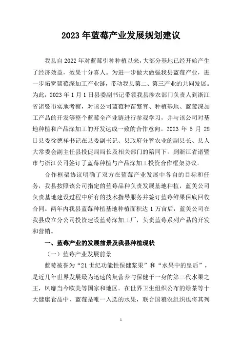 蓝莓产业发展规划建议