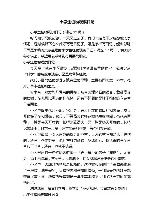 小学生植物观察日记（精选12篇）