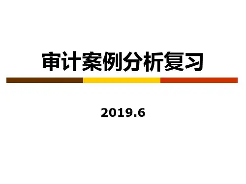 2019-审计案例分析期末复习(2019年春)-文档资料