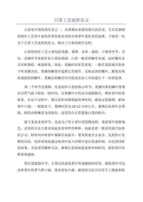 白茶工艺流程范文