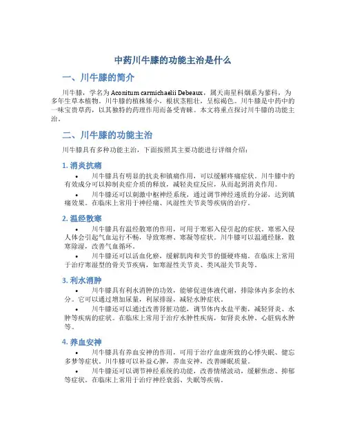 中药川牛膝的功能主治是什么