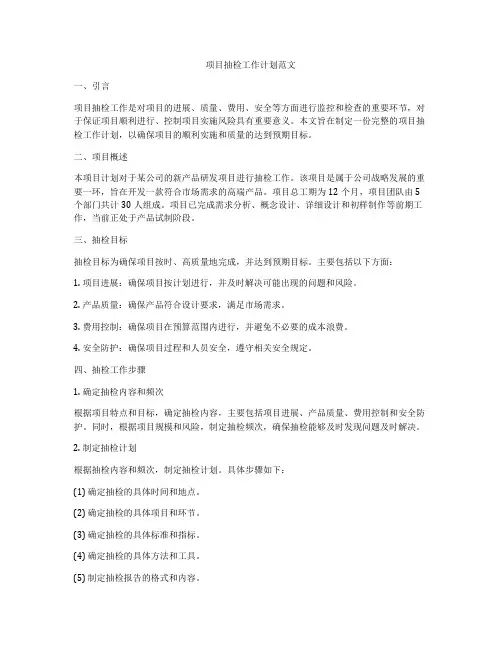 项目抽检工作计划范文