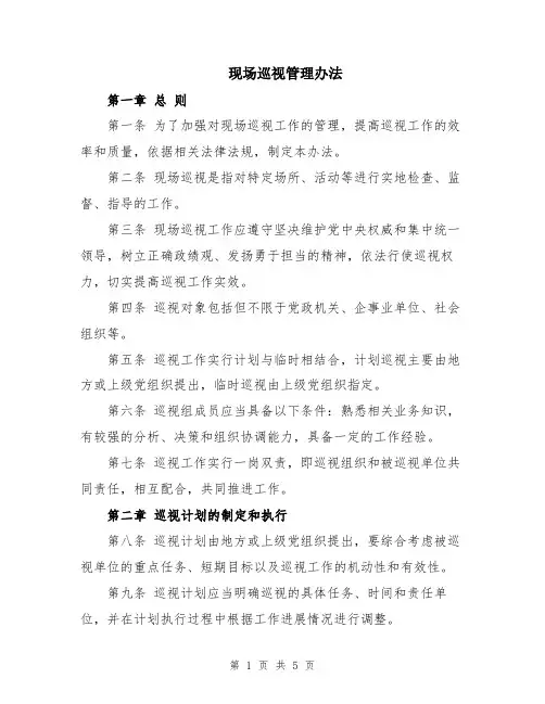 现场巡视管理办法