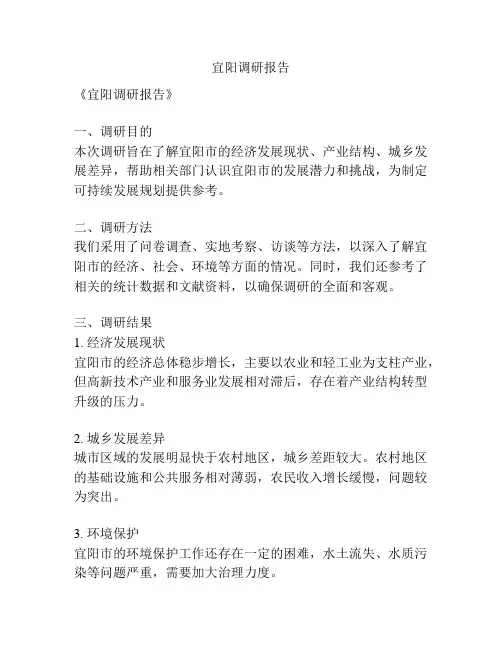 宜阳调研报告