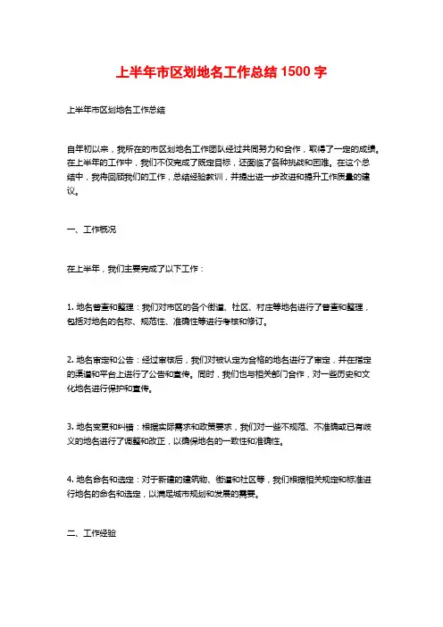 上半年市区划地名工作总结