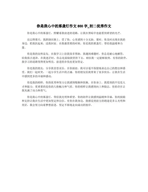 你是我心中的那盏灯作文800字_初二优秀作文
