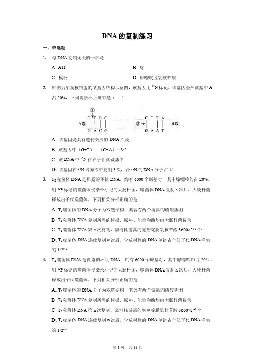 高一生物人教版必修二 3.3 DNA的复制 练习(带答案)