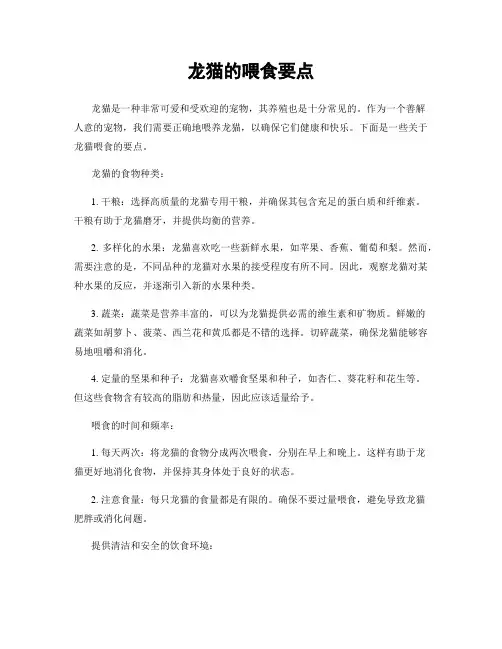 龙猫的喂食要点