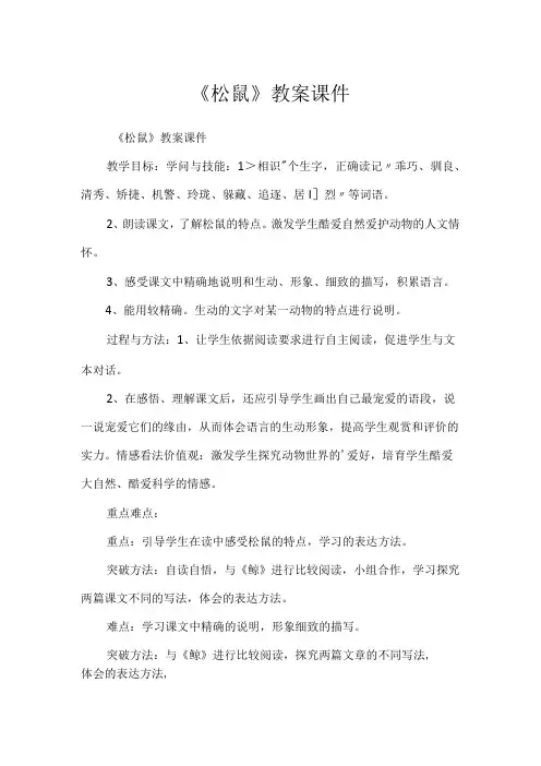 《松鼠》教案课件