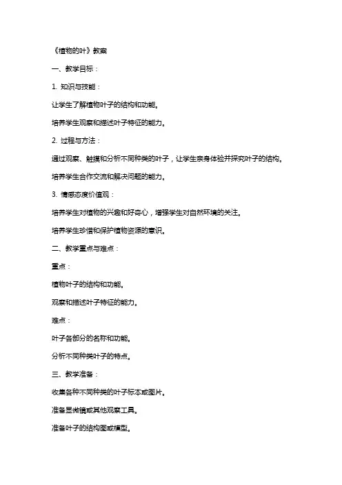 《植物的叶》教案