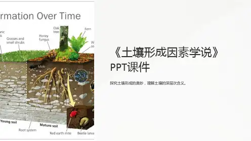 《土壤形成因素学说》课件