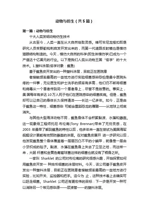 动物与仿生（共5篇）