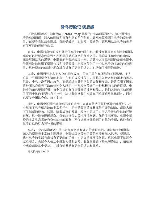 《赞鸟历险记》观后感
