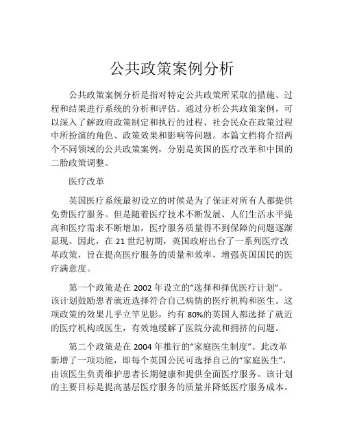 公共政策案例分析