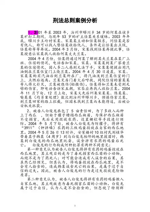 刑法总则案例