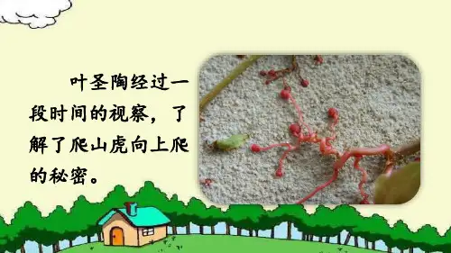 部编版语文四年级上册习作：《写观察日记》课件(共15张PPT)