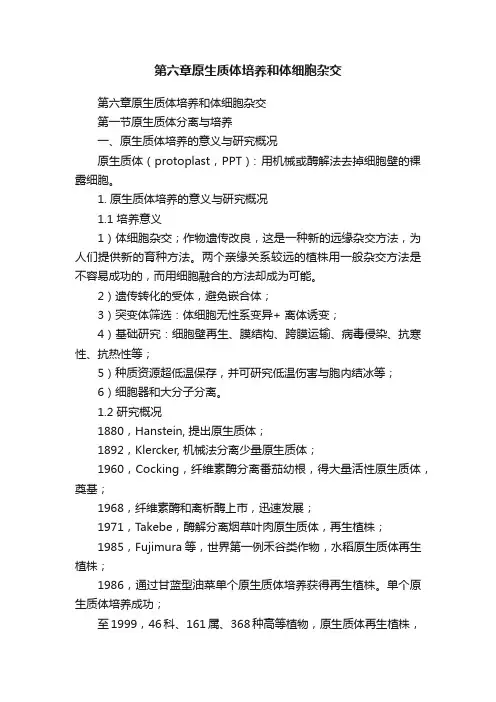 第六章原生质体培养和体细胞杂交