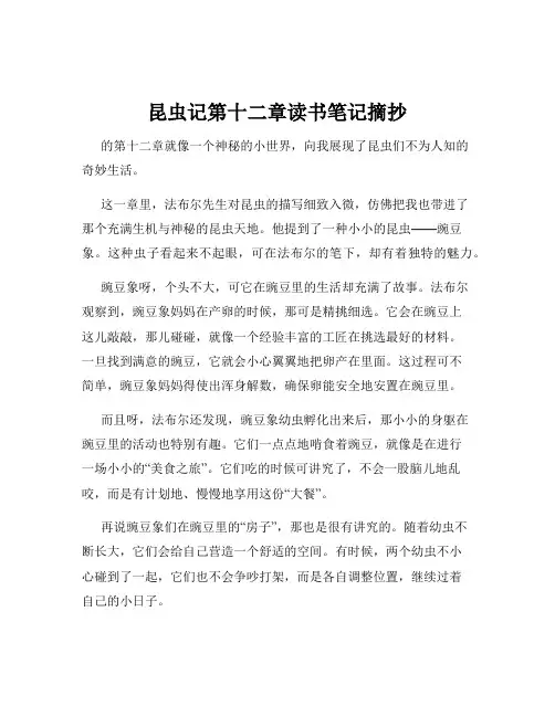 昆虫记第十二章读书笔记摘抄