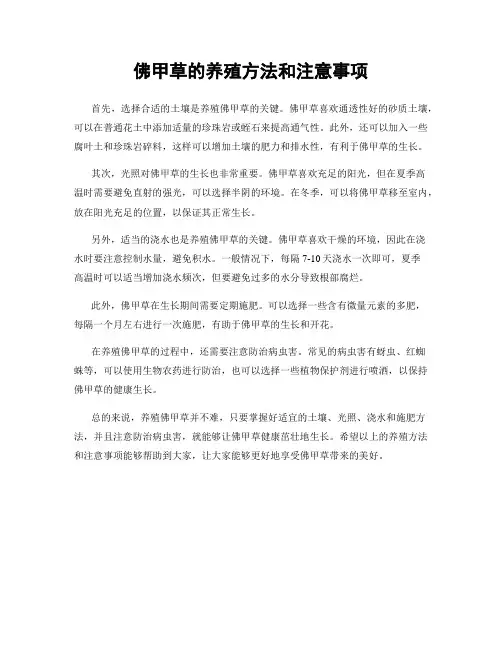 佛甲草的养殖方法和注意事项