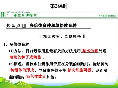 【创新设计】高中生物 5-2-2多倍体育种和单倍体育种配套课件 新人教版必修2