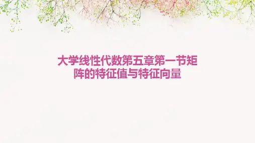 大学线性代数第五章第一节矩阵的特征值与特征向量