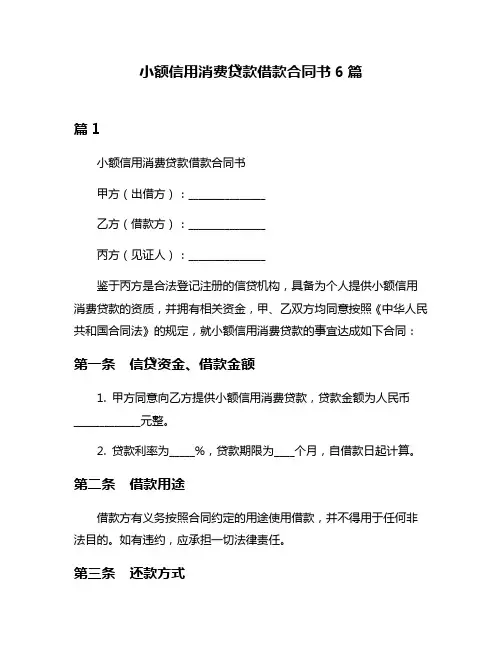 小额信用消费贷款借款合同书6篇