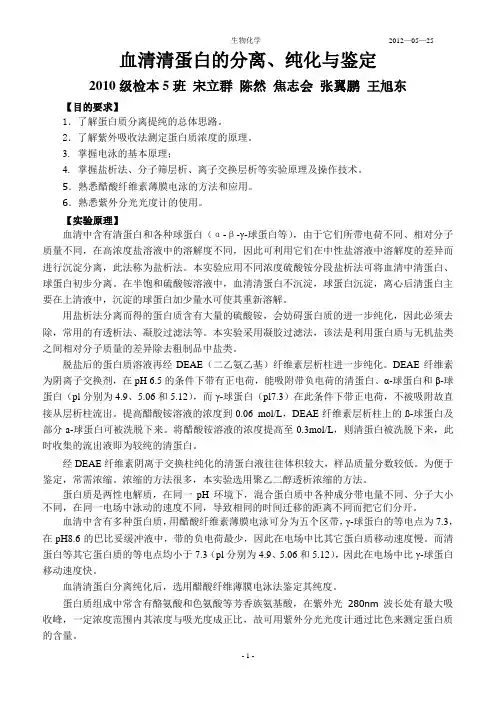 分离提纯鉴定血清清蛋白