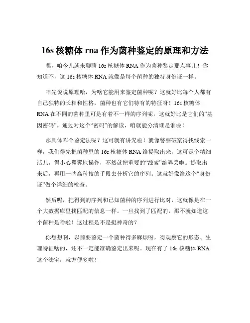 16s核糖体rna作为菌种鉴定的原理和方法