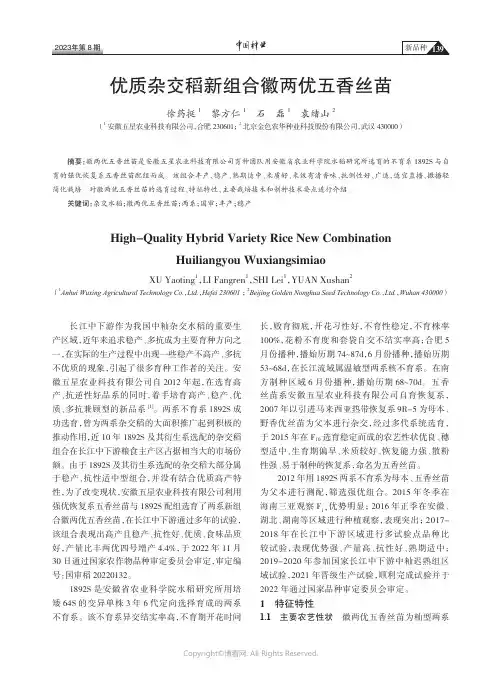 优质杂交稻新组合徽两优五香丝苗